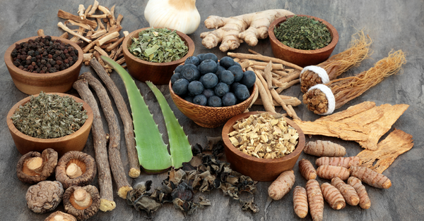 adaptogens-for-healthy-living